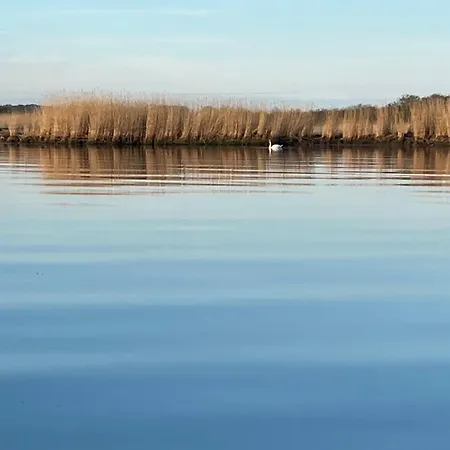 Hausboot Dotterbart Gager