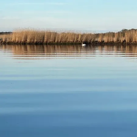 Hausboot Dotterbart غيجير